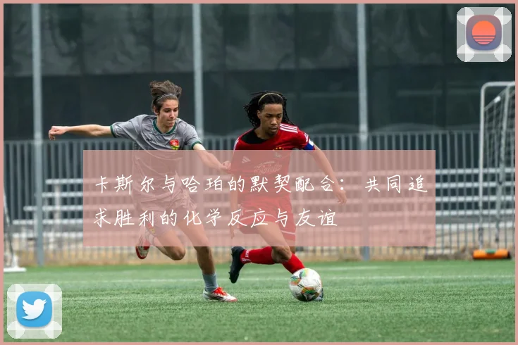 卡斯尔与哈珀的默契配合：共同追求胜利的化学反应与友谊