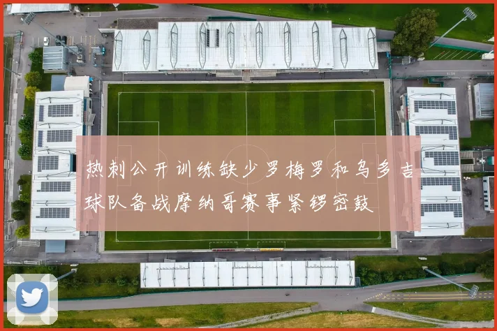 热刺公开训练缺少罗梅罗和乌多吉球队备战摩纳哥赛事紧锣密鼓