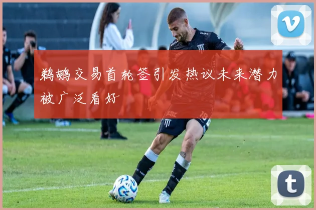 鹈鹕交易首轮签引发热议未来潜力被广泛看好
