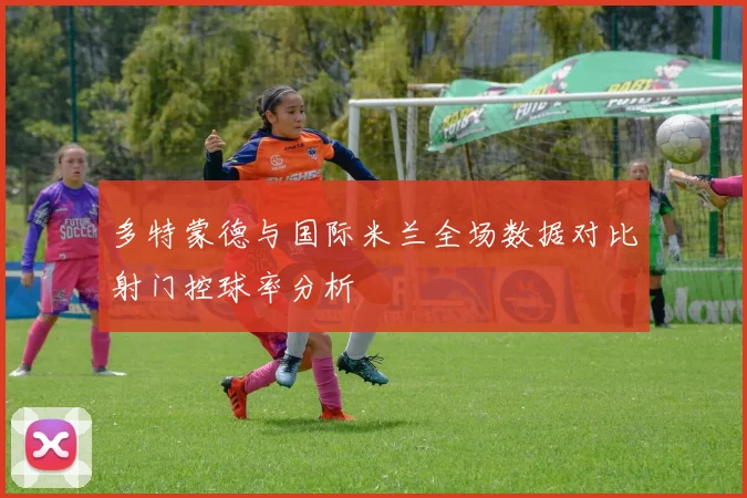 多特蒙德与国际米兰全场数据对比射门控球率分析