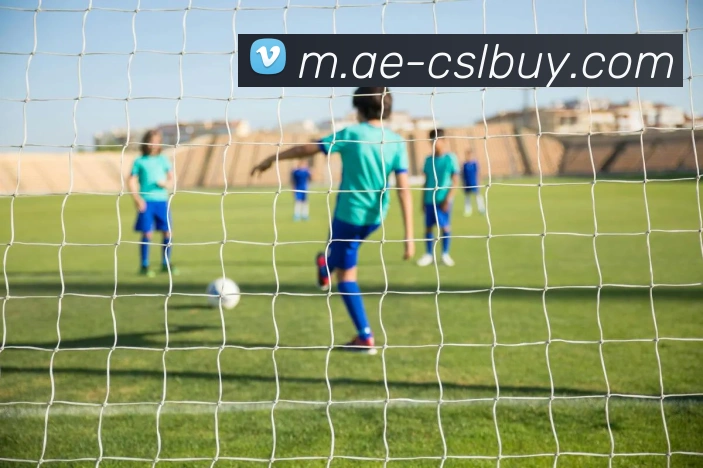 中超买球官网平台生态图